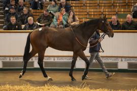 Lot  114 THIT 0330Tattersalls