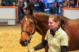 Lot  1156 TBK21028Tattersalls