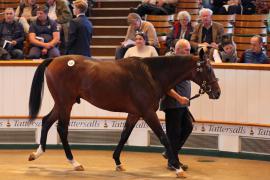 Lot  116 T B1 2034 Tattersalls