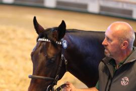 Lot  116 T B1 2072 Tattersalls