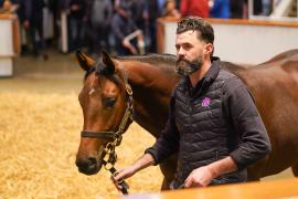 Lot  1170 TBK21087Tattersalls