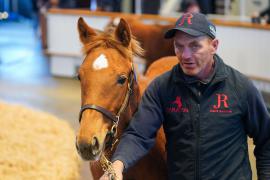 Lot  1178 TDF 889Tattersalls