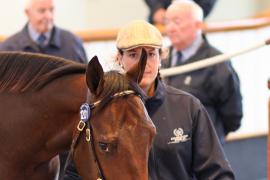 Lot  1201 T Bk2 1162 Tattersalls