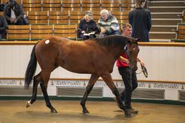 Lot  123 TBK1 3443Tattersalls