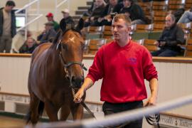 Lot  123 TBK1 3508Tattersalls