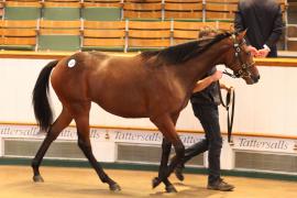 Lot  1250 T Bk2 1593 Tattersalls