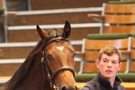 Lot  1250 T Bk2 1618 Tattersalls