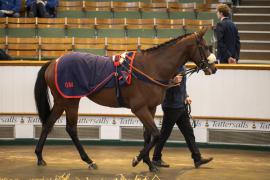 Lot  1254 THIT 3140Tattersalls