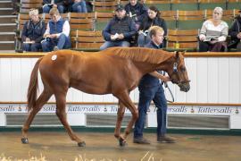 Lot  1271 TBK3 0425Tattersalls