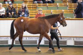 Lot  1280 TBK3 0683Tattersalls