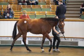 Lot  1280 TBK3 0701Tattersalls