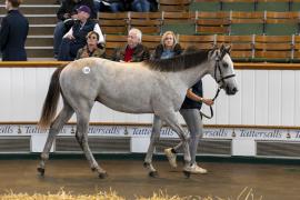 Lot  1295 TBK3 0736Tattersalls