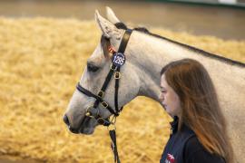 Lot  1295 TBK3 0770Tattersalls