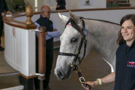 Lot  1295 TBK3 0823Tattersalls