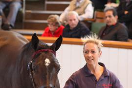 Lot  12 T B1 0285 Tattersalls