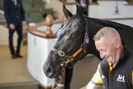 Lot  1300 TBK3 0979Tattersalls