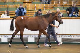 Lot  1317 TBK3 1191Tattersalls