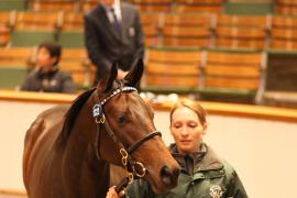 Lot  1322 T B K2 0858 Tattersalls