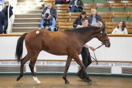 Lot  1322 TBK3 1360Tattersalls