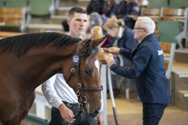 Lot  1322 TBK3 1369Tattersalls