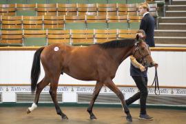 Lot  1325 TBK3 1418Tattersalls