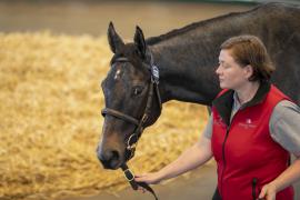 Lot  1328 TBK3 1453Tattersalls