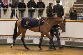 Lot  1330 THIT 3591Tattersalls