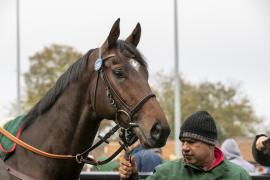 Lot  1356 THIT 3797Tattersalls