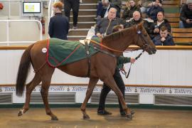 Lot  1358 THIT 3741Tattersalls