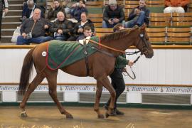 Lot  1358 THIT 3745Tattersalls