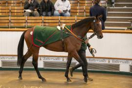 Lot  1359 THIT 3950Tattersalls