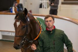 Lot  1359 THIT 4022Tattersalls