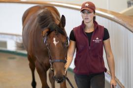 Lot  1362 TBK3 1711Tattersalls