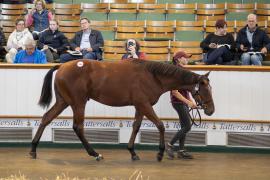 Lot  1362 TBK3 1723Tattersalls