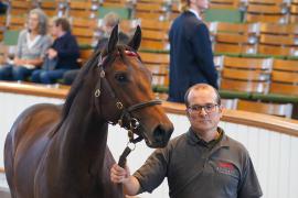 Lot  1383 TBK2003Tattersalls