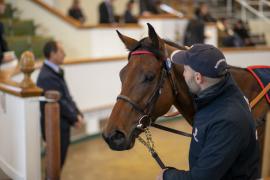 Lot  138 THIT 0642Tattersalls