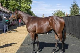 Lot  140 1938 TBK1Tattersalls