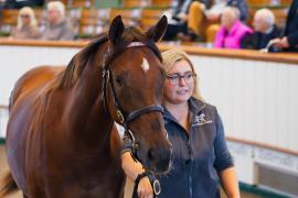 Lot  1412 TBK2178Tattersalls