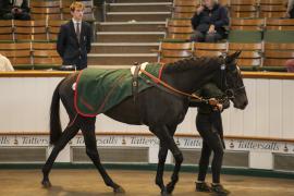 Lot  1419 THIT 4333Tattersalls