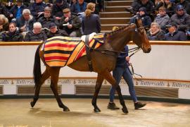 Lot  1453 TDM 1878Tattersalls