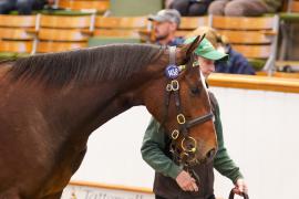 Lot  1458 TBK2490Tattersalls