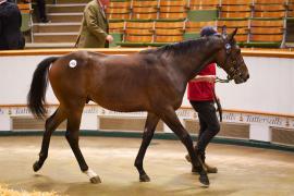 Lot  1465 TBK3 592Tattersalls