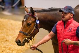 Lot  1466 TBK3 585Tattersalls