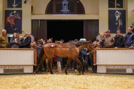 Lot  1466 TDM 1897Tattersalls