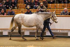 Lot  1481 TDM 1892Tattersalls