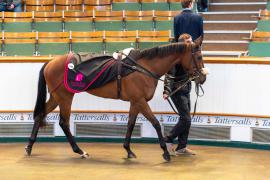 Lot  1481 THIT 020Tattersalls