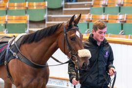 Lot  1481 THIT 046Tattersalls