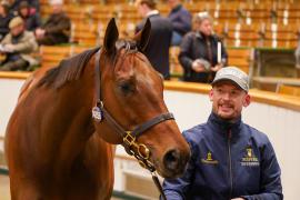 Lot  1485B TDM 1937Tattersalls