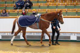 Lot  1491 THIT 088Tattersalls