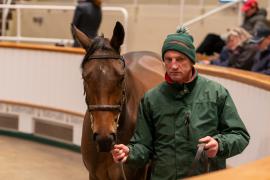 Lot  1496 TDM 3060Tattersalls